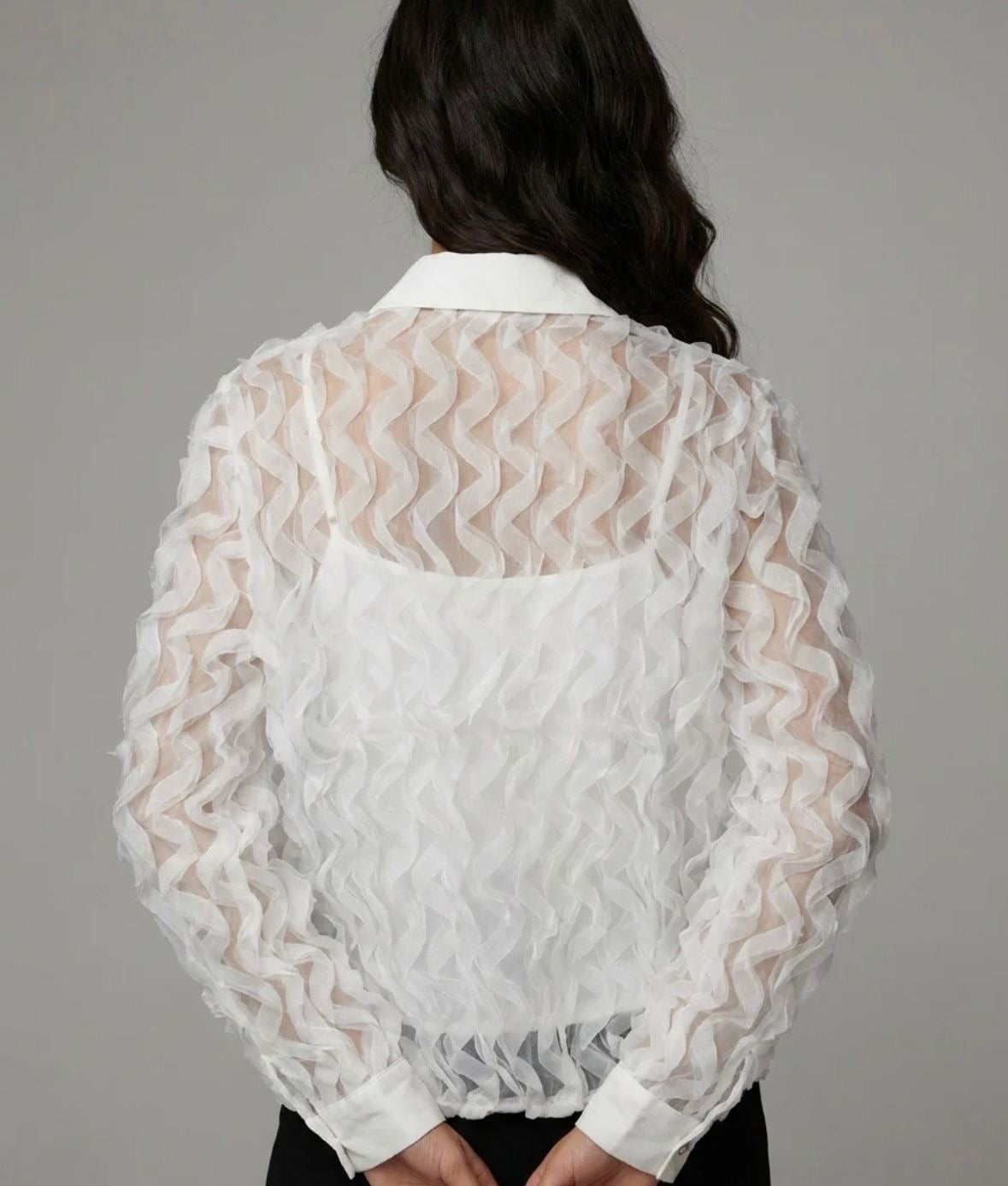 Sheer Textured Blouse